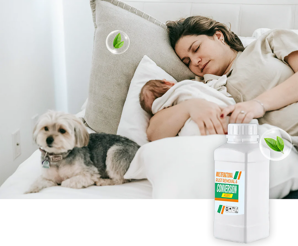 RustReform – Multifunctional Rust Removal & Converter