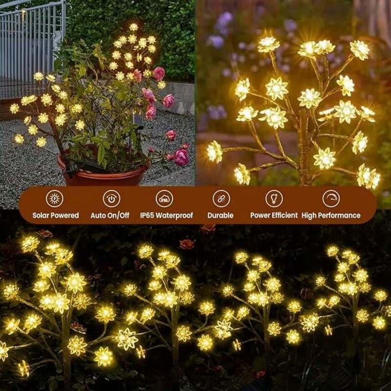 PetalRay – Solar-Powered Cherry Light Trail