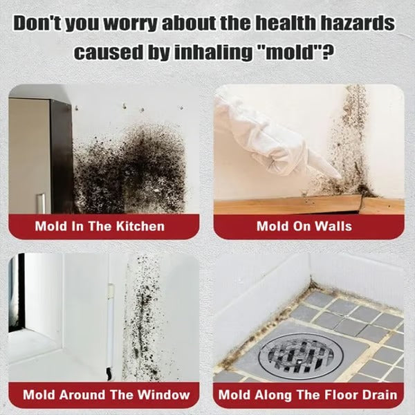 MoldAway – Powerful Mildew Cleaning Foam