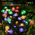 Colorful Light