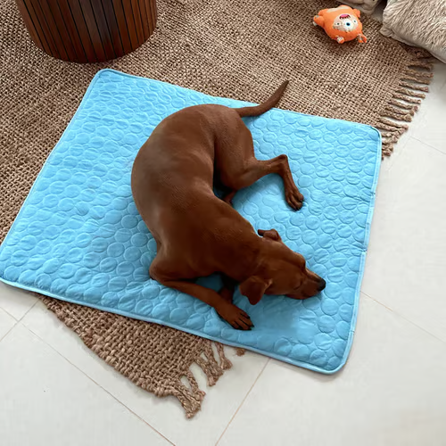 ChillPaws – Instant Relief Cooling Mat