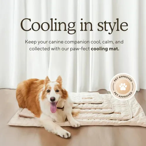 ChillPaws – Instant Relief Cooling Mat