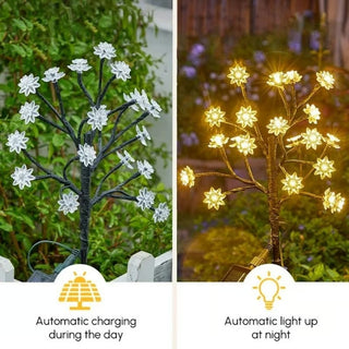 PetalRay – Solar-Powered Cherry Light Trail