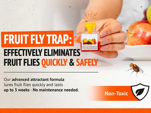TrapTidy – Natural Fruit Fly Trap