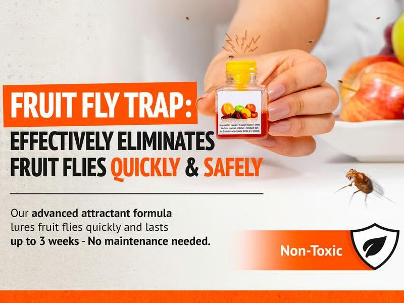 TrapTidy – Natural Fruit Fly Trap