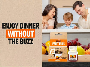 TrapTidy – Natural Fruit Fly Trap