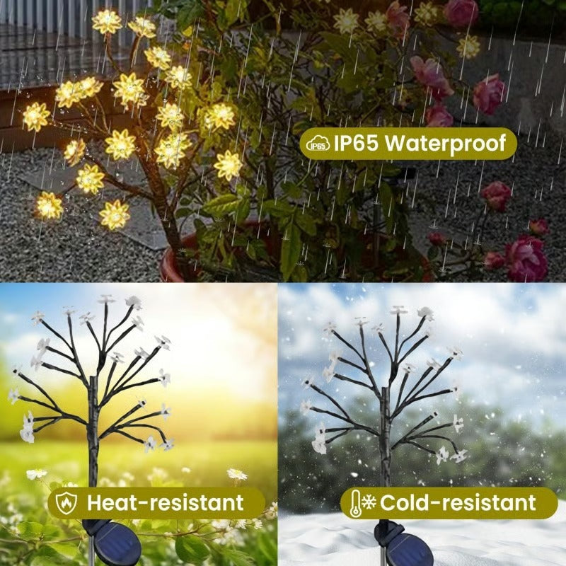 PetalRay – Solar-Powered Cherry Light Trail