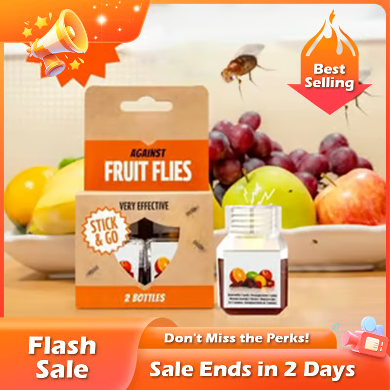 TrapTidy – Natural Fruit Fly Trap