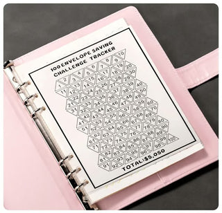 SaveWise – 100 Envelope Budgeting Challenge Book