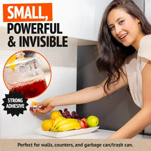 TrapTidy – Natural Fruit Fly Trap