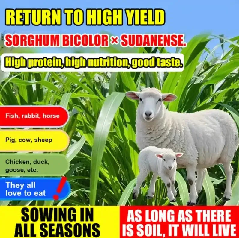 GreenHarvest – Premium Forage Seed