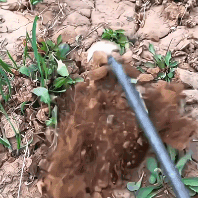 WeedMaster | 4-Tooth Steel Uprooting Tool for Garden Perfection