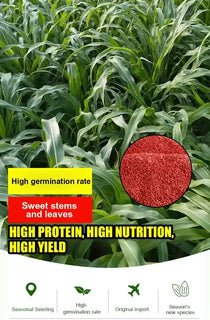 GreenHarvest – Premium Forage Seed