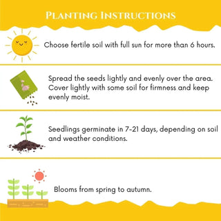 PlumVera – Sweet Plum Growing Kit