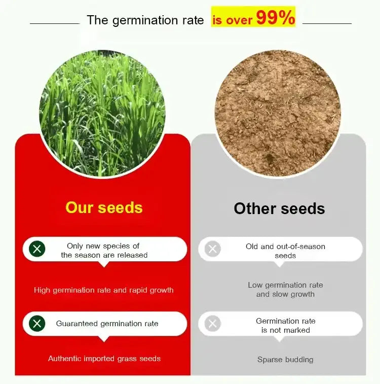 GreenHarvest – Premium Forage Seed