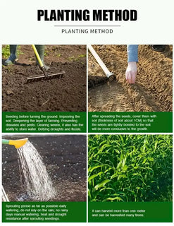 GreenHarvest – Premium Forage Seed