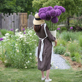 GlobeGiant – Giant Allium Giganteum Ornamental Onion Flower Bulbs