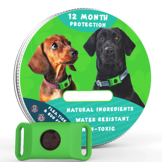 BotaniGuard – 12-Month Flea & Tick Pendant