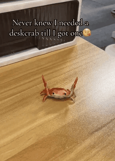 CrabLift – 🤣 Funny 🦀 Cute Crab-Shaped Pen Holder