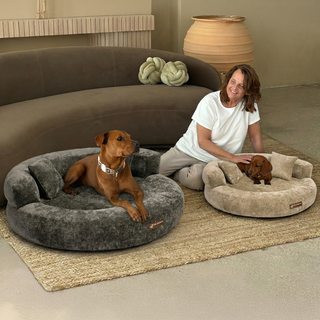 CloudNest – Orthopedic Velvet Dog Bed with Raised Bolsters
