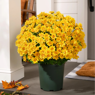 SunsetBloom – 💥🌼 Artificial Outdoor Mums, UV-Resistant, Waterproof & Windproof