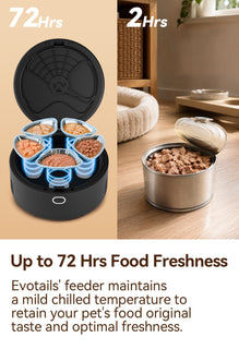 MealChill – Smart Wet Food Feeder with Camera