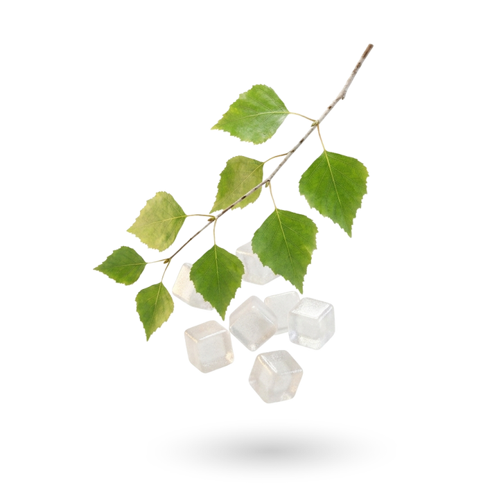 Xylitol + Erythritol