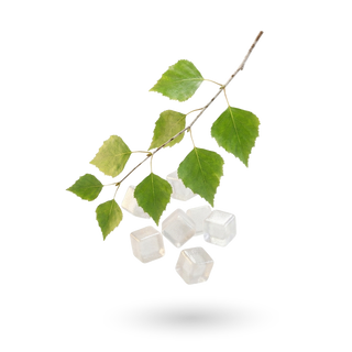 Xylitol + Erythritol
