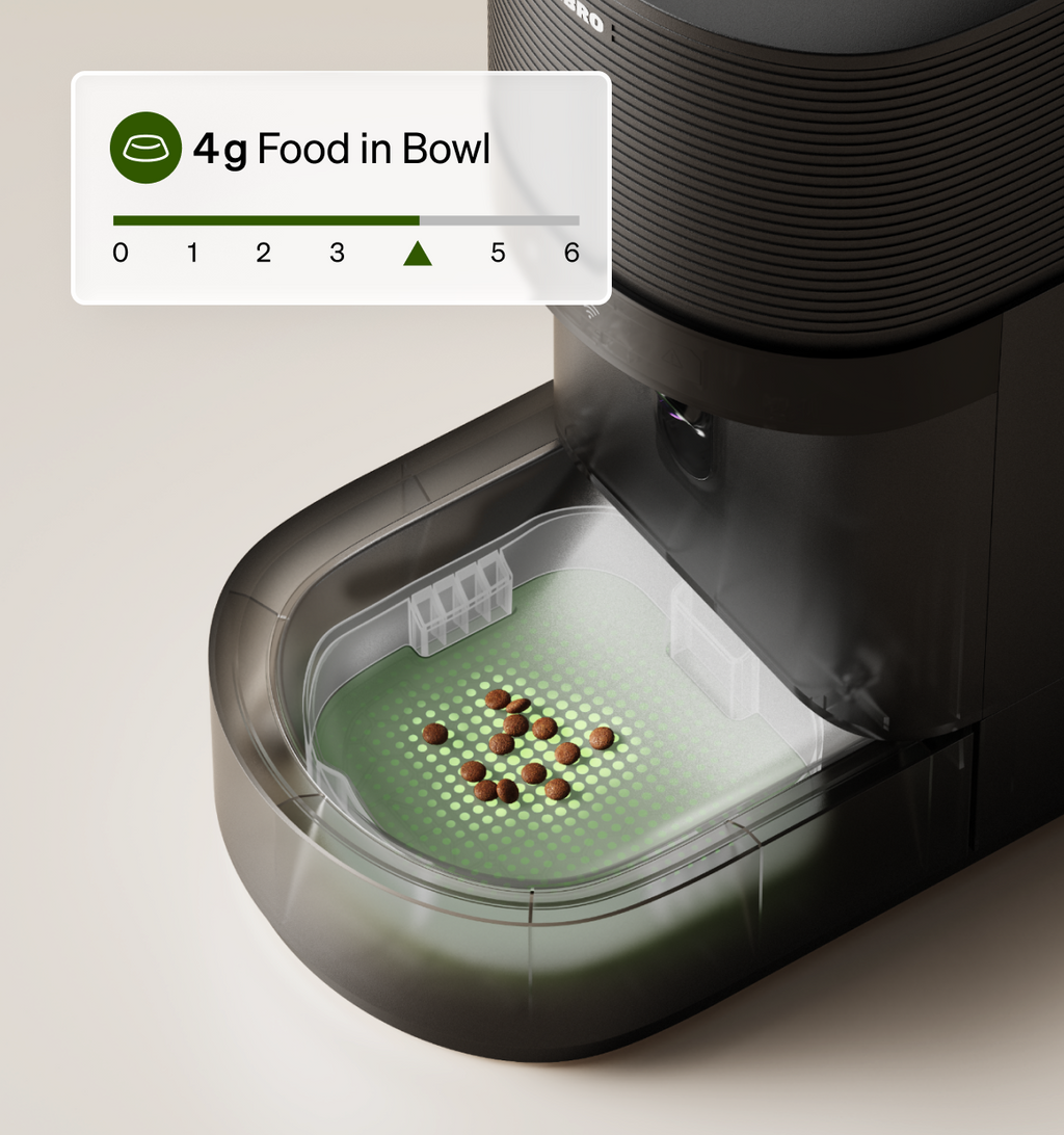 MealSense – Smart Cat Feeder with Gram-Precise Intake Tracking