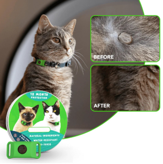 BotaniGuard – 12-Month Flea & Tick Pendant