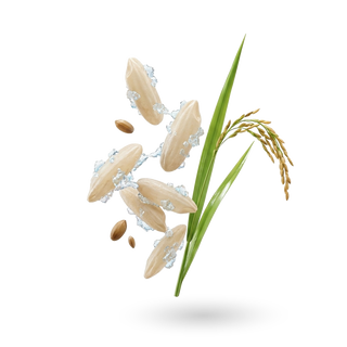 Sodium Phytate