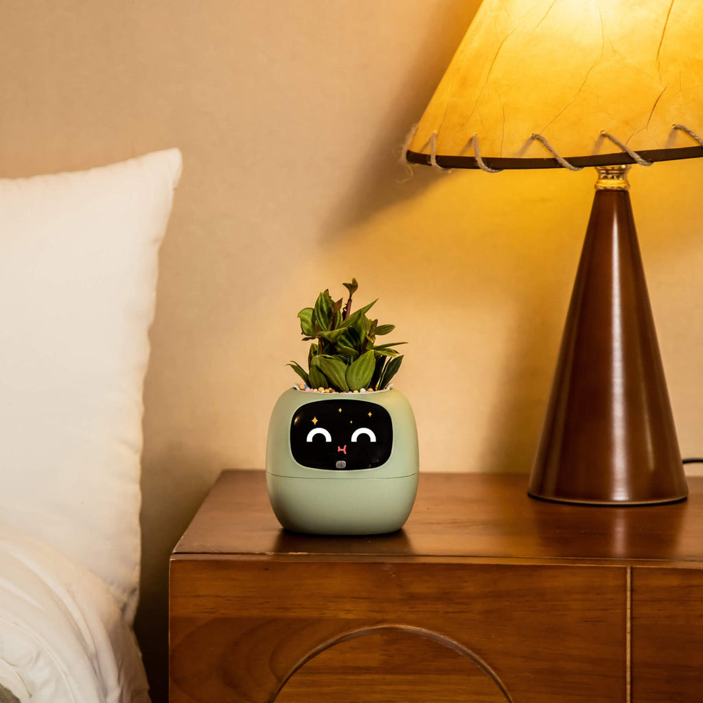 IvyBuddy – Gen 2 Interactive Smart Plant Pet & Relaxing Desk Companion