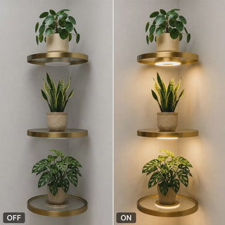 LumaShelf – Floating Gold Plant Shelf with Ambient LED Light