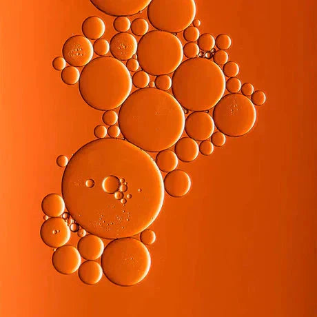 SerumGlow – Bifida Ferment Serum-Infused BB Cream, Skin Tint & Tinted Moisturizer
