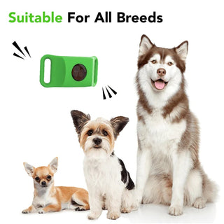 BotaniGuard – 12-Month Flea & Tick Pendant