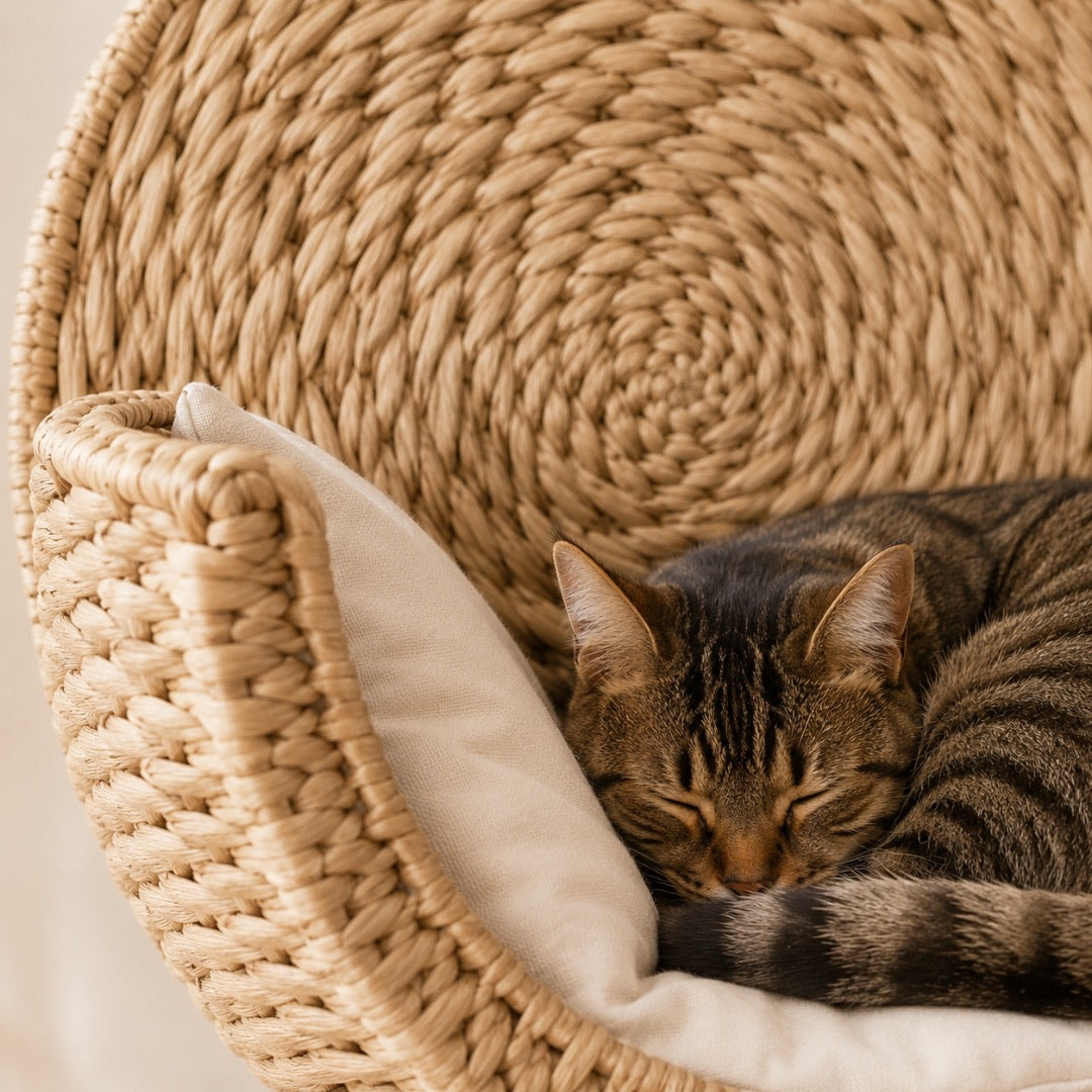 LoftNest – Handwoven Wall-Mounted Cat Bed
