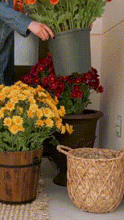 SunsetBloom – 💥🌼 Artificial Outdoor Mums, UV-Resistant, Waterproof & Windproof