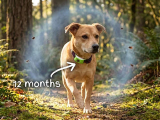 BotaniGuard – 12-Month Flea & Tick Pendant