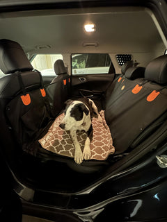 PawDeck – Hard-Bottom Backseat Extender for Dogs