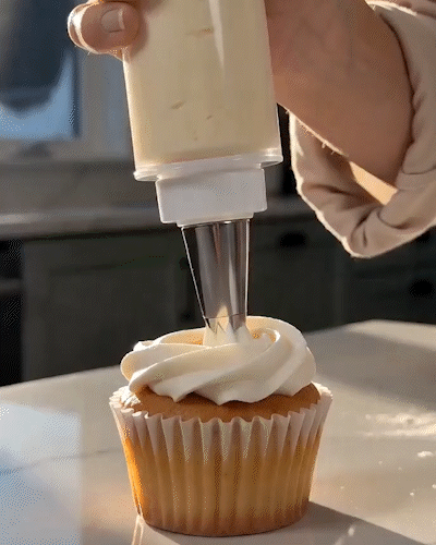 Cake decorating gun with interchangeable stainless steel tips