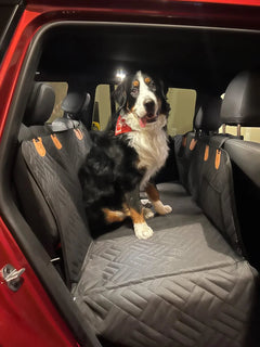 PawDeck – Hard-Bottom Backseat Extender for Dogs