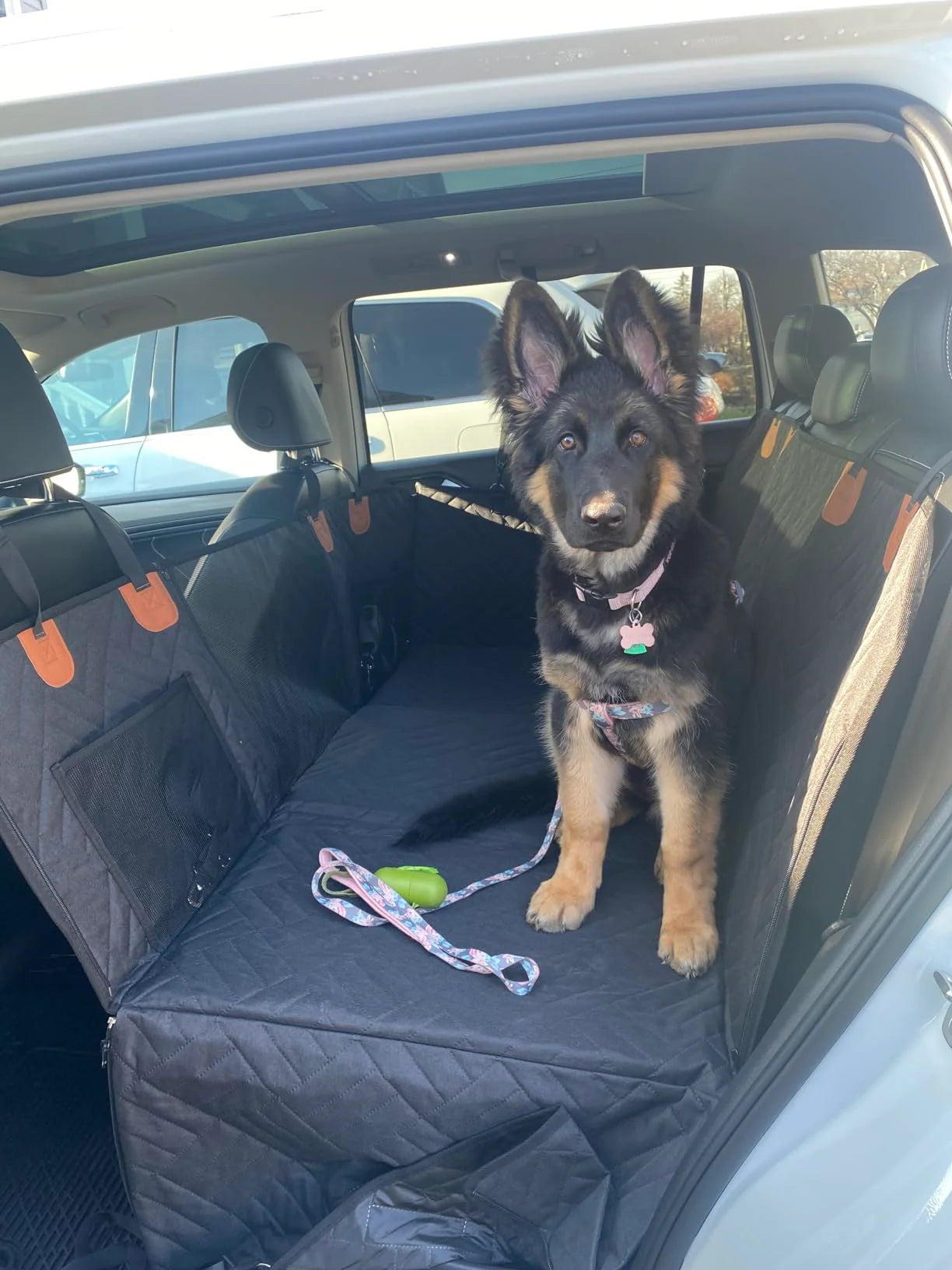 PawDeck – Hard-Bottom Backseat Extender for Dogs