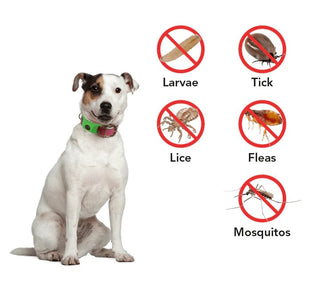 BotaniGuard – 12-Month Flea & Tick Pendant