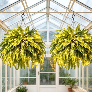 💛GlowFern – 🌿 Glowing Boston Ferns with Lights, Zero Watering, Zero Maintenance