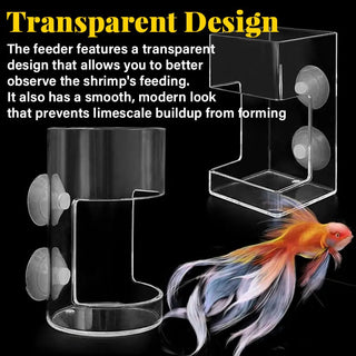 FeedDock – Clear Aquarium Feeding Ring and Tray with Suction Cups