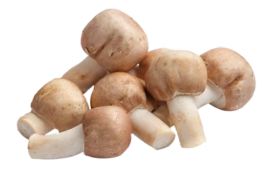 MushroomRise – Raspberry 10-in-1 Mushroom Gummies