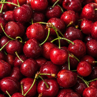 CherryRoots – Grow Your Own Sweet Cherry Tree 🍒 From Seed to Fresh Fruit
