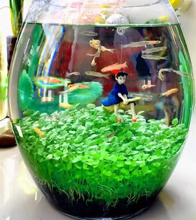 AquaCarpet – 🌿 Air-Purifying Aquatic Plant Seeds for Fish Tanks