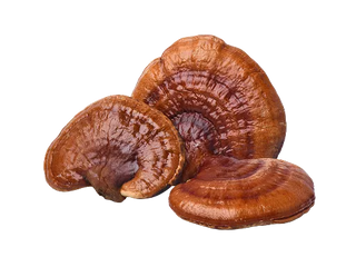 MushroomRise – Raspberry 10-in-1 Mushroom Gummies