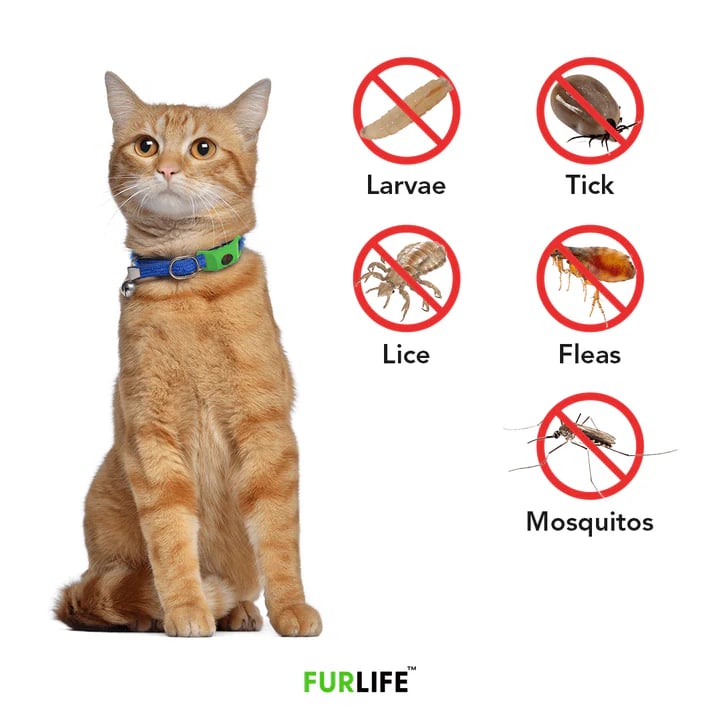 BotaniGuard – 12-Month Flea & Tick Pendant